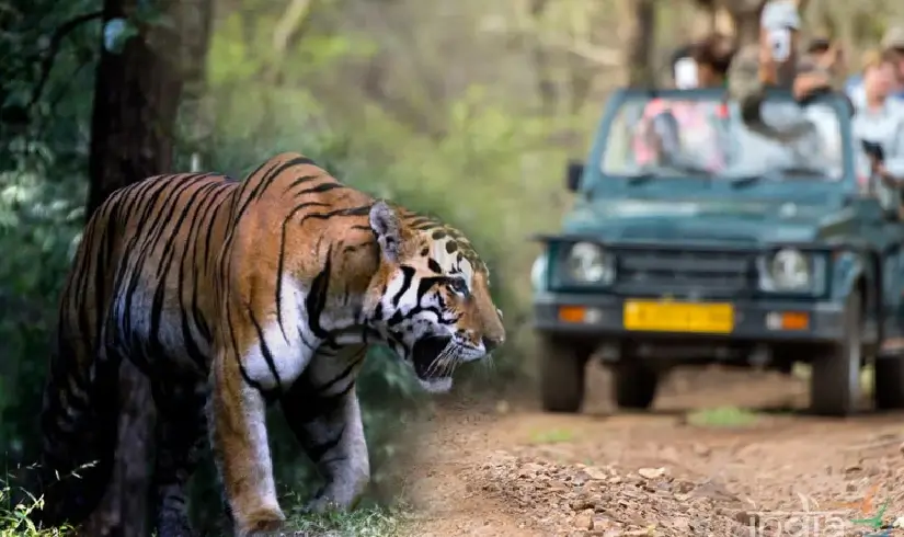 Golden Triangle Tour With Wildlife